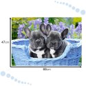 CASTORLAND Puzzle układanka 1000 elementów French Bulldog Puppies - Buldogi francuskie 68x47cm