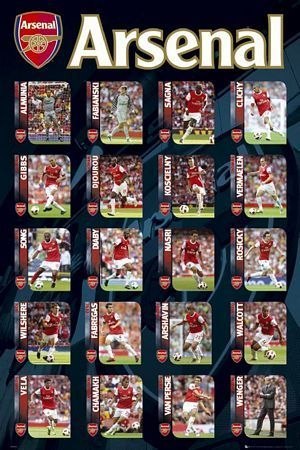 Arsenal Squad Profiles - plakat