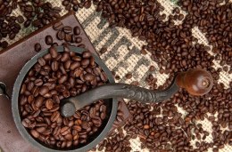 Coffee Beans and Grinder - fototapeta