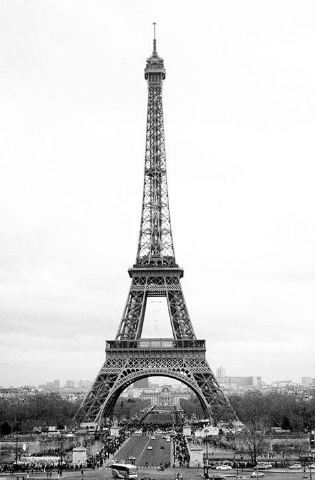 Paryż, Wieża Eiffel - fototapeta