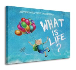 Adventure Time - What is Life? - obraz na płótnie