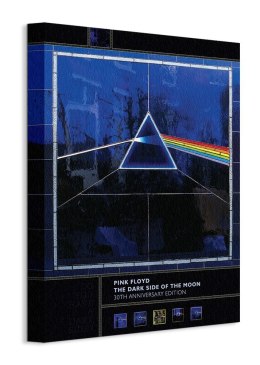 Dark Side Of The Moon, 30th Anniversary - obraz na płótnie