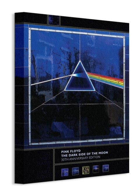 Dark Side Of The Moon, 30th Anniversary - obraz na płótnie