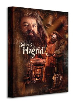 Harry Potter Hagrid - obraz na płótnie