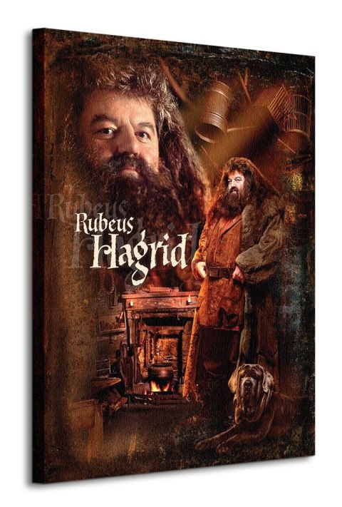 Harry Potter Hagrid - obraz na płótnie