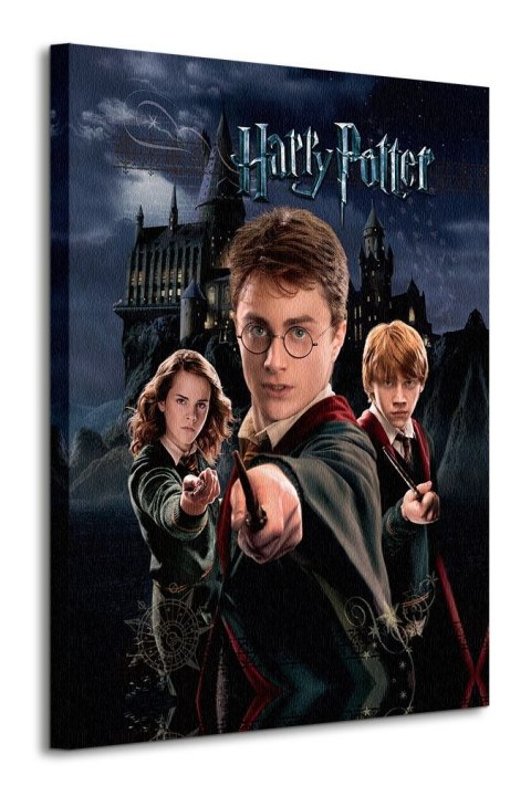 Harry Potter Harry Ron Hermione - obraz na płótnie