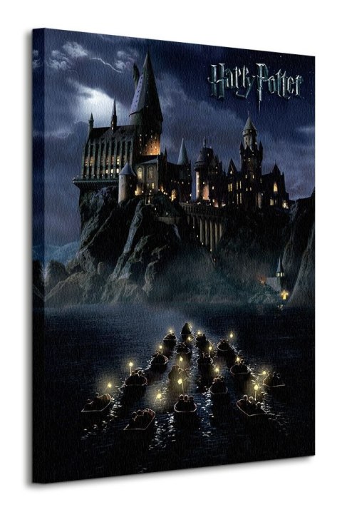 Harry Potter Hogwarts School - obraz na płótnie