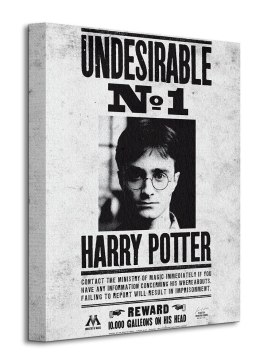 Harry Potter Undesirable No.1 - obraz na płótnie