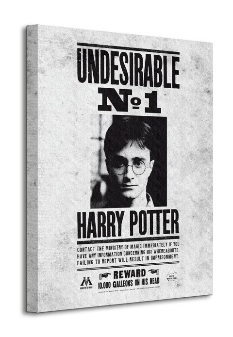 Harry Potter Undesirable No.1 - obraz na płótnie