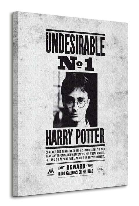 Harry Potter Undesirable No.1 - obraz na płótnie
