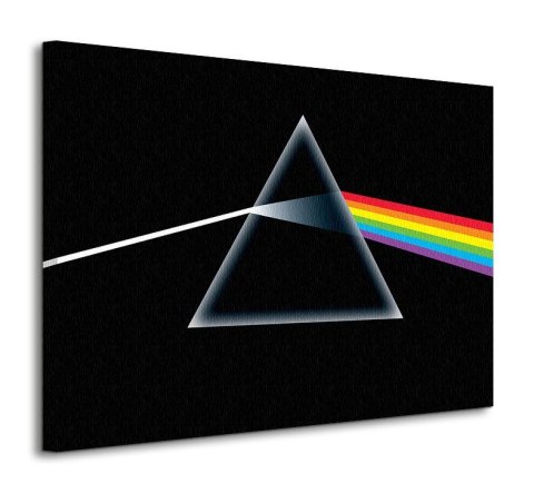 Pink FLoyd Dark Side Of The Moon - obraz na płótnie