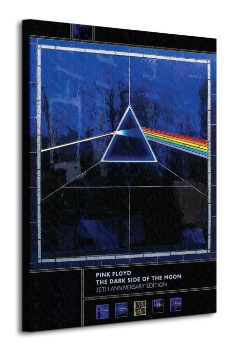 Pink Floyd 30th Anniversary - obraz na płótnie