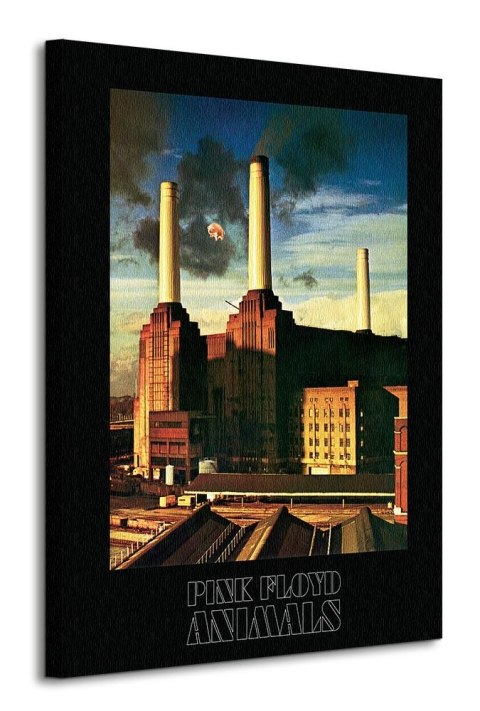 Pink Floyd Animals - obraz na płótnie