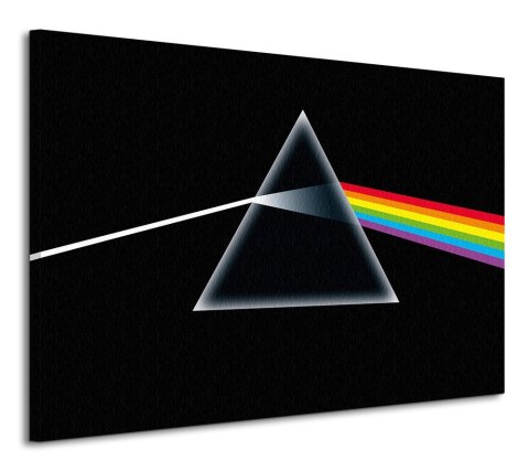 Pink Floyd Dark Side Of The Moon - Obraz na płótnie