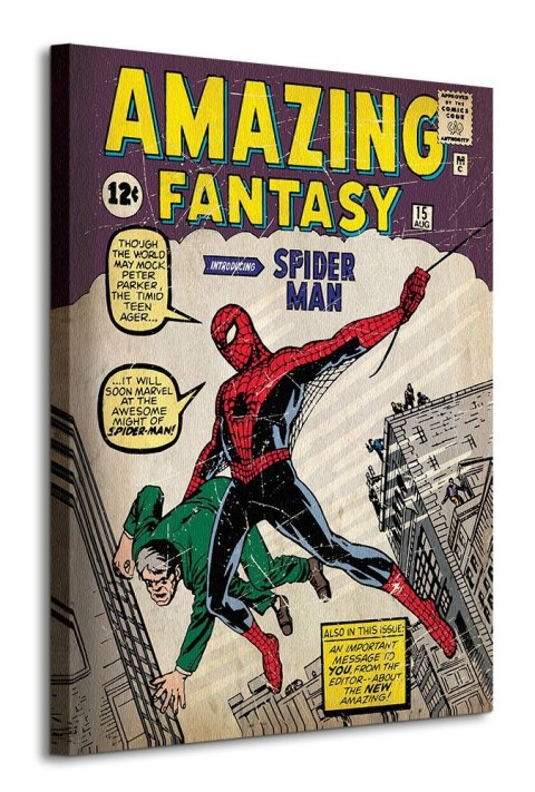 Spider-Man Issue 1 - obraz na płótnie