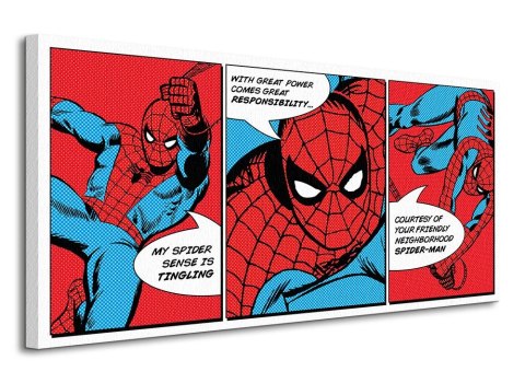 Spider-Man Triptych - obraz na płótnie