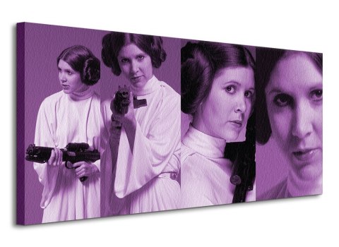 Star Wars Princess Leia Pose - obraz na płótnie