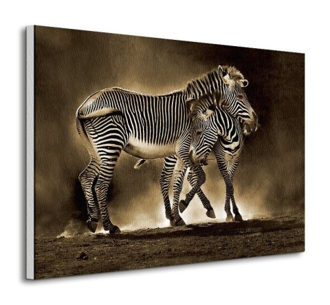 Zebra Grevys - obraz na płótnie