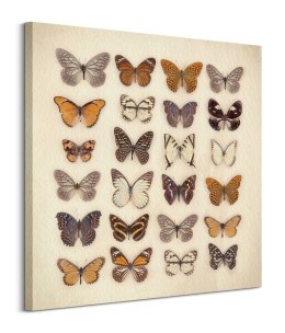 Butterfly Collection - obraz na płótnie