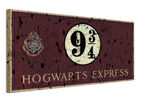 Harry Potter Hogwarts Express - Obraz na płótnie