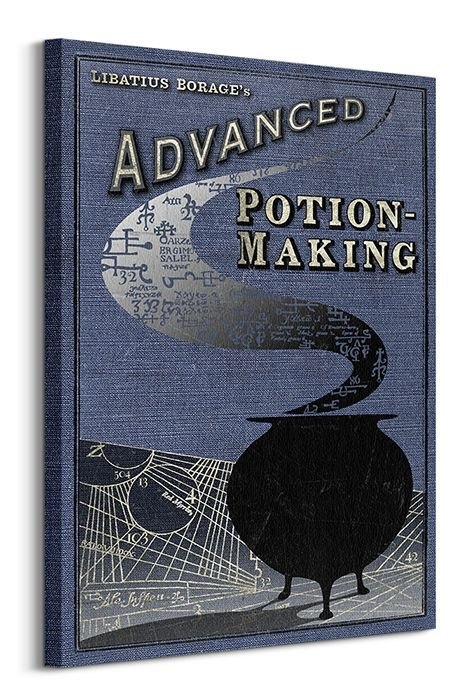 Harry Potter Potion Making - obraz na płótnie