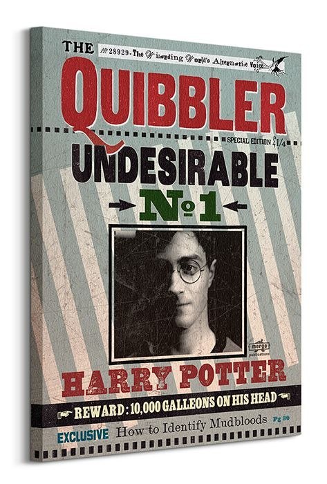 Harry Potter Quibbler - obraz na płótnie
