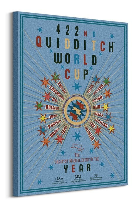 Harry Potter Quidditch World Cup - obraz na płótnie