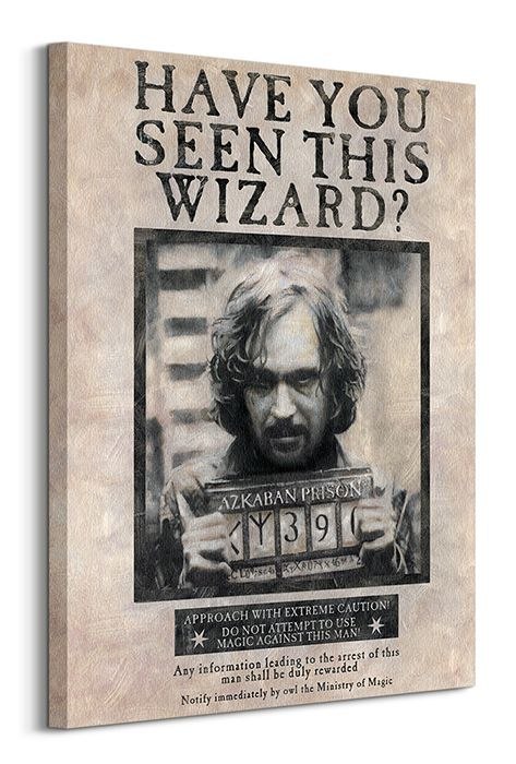 Harry Potter Wanted Sirius Black - obraz na płótnie