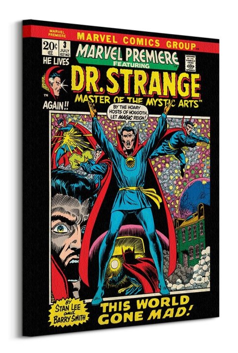 Marvel Dr Strange World Gone Mad - obraz na płótnie