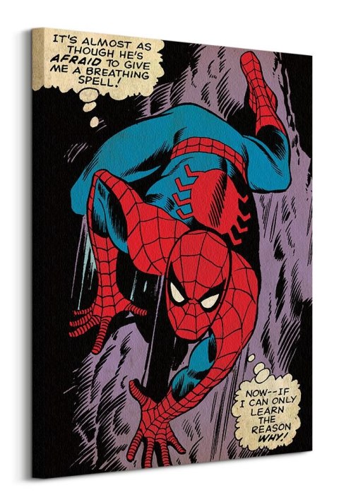 Spiderman Reason Why - obraz na płótnie
