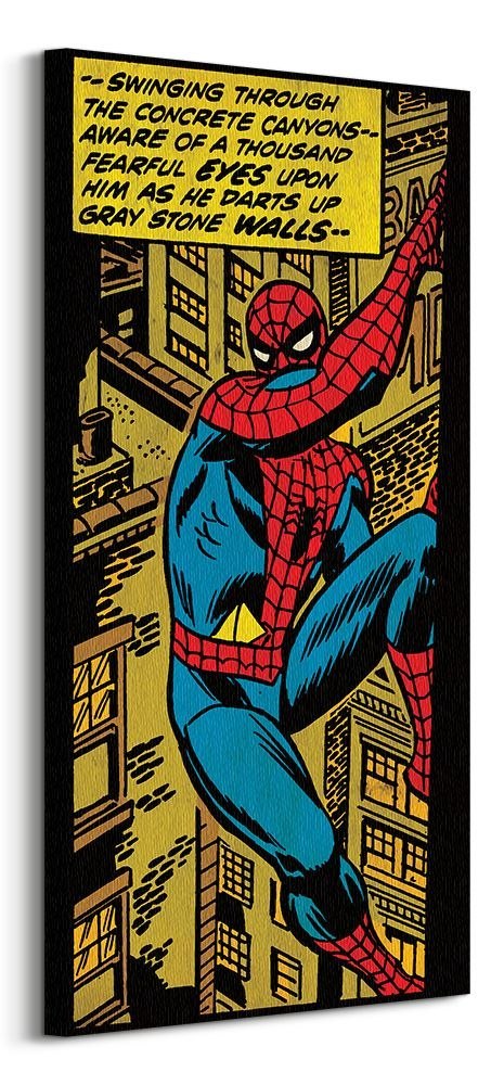Spiderman Swinging Through The Concrete - obraz na płótnie
