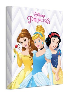 Disney Princess Belle, Cinderella And Snow White - obraz na płótnie