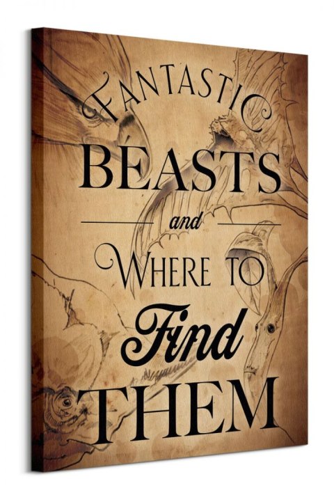 Fantastic Beasts Beast Drawings - obraz na płótnie