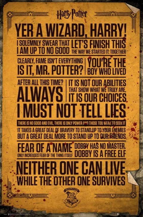 Harry Potter Cytaty z filmu - plakat