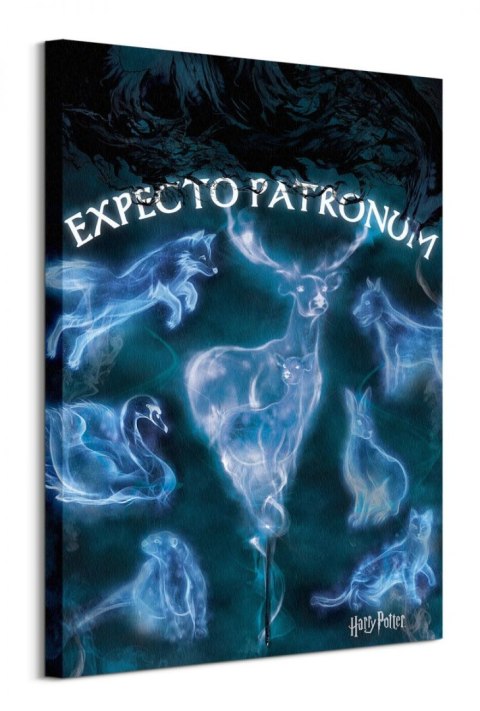 Harry Potter Patronus - obraz na płótnie
