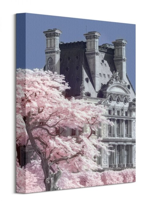 Jardin De Tuilieres Infrared, Paris - obraz na płótnie