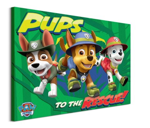 Paw Patrol Pups To The Rescue - obraz na płótnie