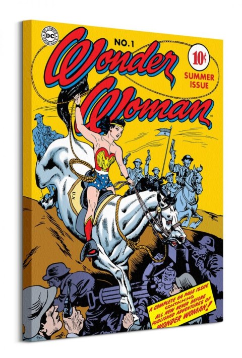 Wonder Woman Adventure - obraz na płótnie