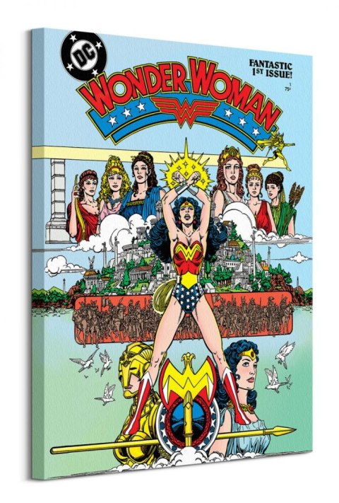 Wonder Woman Fantastic - obraz na płótnie