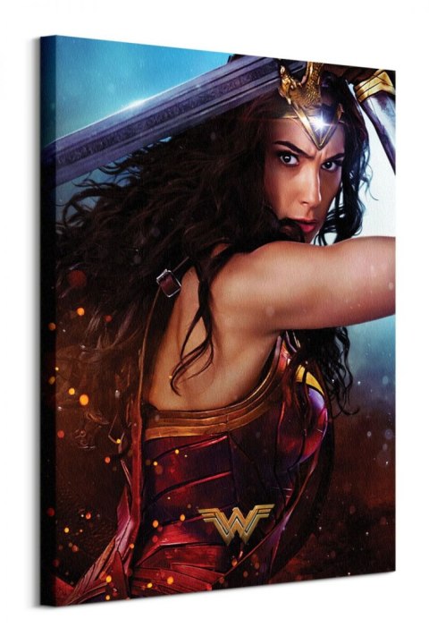 Wonder Woman Wonder - obraz na płótnie