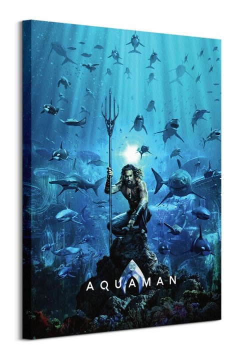 Aquaman - obraz na płótnie