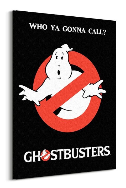 Ghostbusters Who Ya Gonna Call? - obraz na płótnie