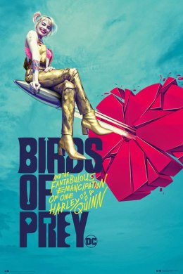 Birds Of Prey Broken Heart - plakat