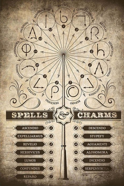 Harry Potter Spells Charms - plakat