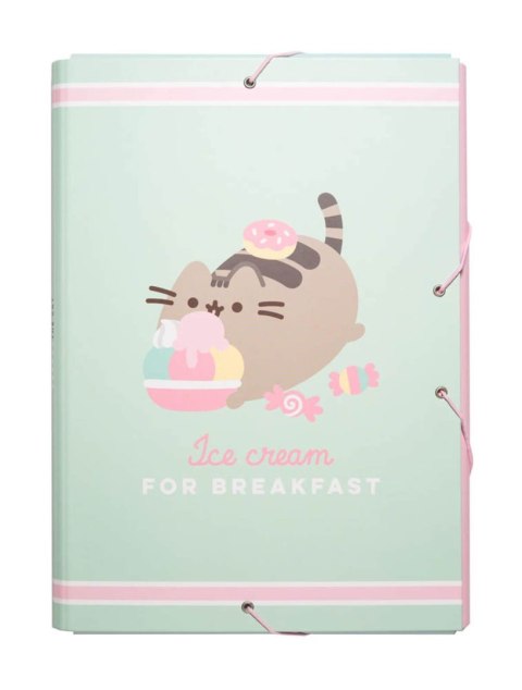 Pusheen Ice Cream - teczka A4