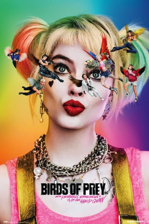 Birds Of Prey Dazed and Confused - plakat