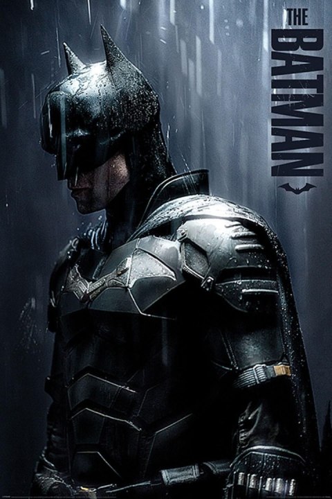 The Batman Downpour - plakat