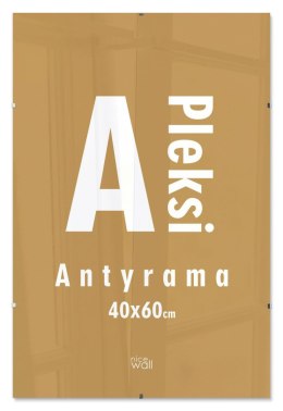 Antyrama eko 40x60 cm Nice Wall