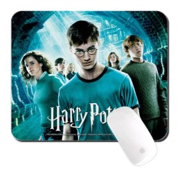 Harry Potter Bohaterowie - podkładka pod myszkę