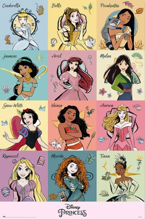 Disney Princess Brush Strokes - plakat